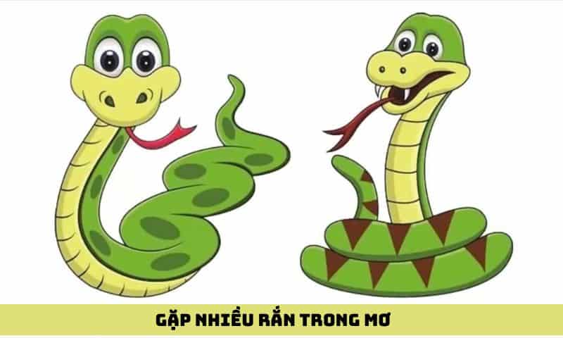 Gặp nhiều rắn trong mơ là điềm gì?